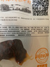 艾尼大叔新疆风味牛肉干 草原特产酱卤牛肉条风干牛肉 麻辣50g*5袋250g 实拍图
