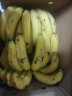 云南 香蕉 高山香蕉 新鲜水果 精选9斤净重 晒单实拍图