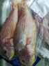 二三王牛 湛江新鲜线鱼海鲜水产海钓海鱼冷冻红杉鱼鲜活红三鱼金丝鱼 超大号500g(1-3条) 新鲜(3斤装) 晒单实拍图