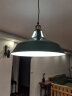 艺标北欧loft复古工业风餐厅灯吧台咖啡厅仓库创意单头铁艺服裝店吊灯 绿色大号-39CM（LED 4瓦暖光） 晒单实拍图