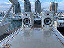 Pioneer DJ【品牌正品专卖】先锋DM-50D DM-50D-W系列桌面监听音箱有源蓝牙功能音响电脑立体声电脑 DM-50D-BT-W白色【蓝牙+有线版】 实拍图