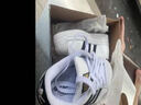 阿迪达斯（adidas）三叶草男鞋女鞋 25夏新款金标贝壳头情侣款运动时尚潮流休闲板鞋 情侣主推款/偏大【金标贝壳头】 38 内长235mm 实拍图