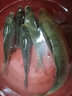 BAISHA FISH BS鱼钩大力马PE绑好子线双钩巨物钩黑坑青鱼鲤鱼钩伊势尼渔具钓鱼钩 7号【25付】 实拍图
