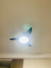 艾美特（Airmate）吊扇灯吸顶电扇灯42吋餐厅吊灯卧室客厅家用装饰扇led灯具灯饰调光遥控定时 FZD4207R 实拍图