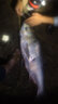 冠路（Crown Lure） 无间隙远投轮纺车轮斜口锚鱼轮锚杆海竿渔轮鱼线轮鱼轮海杆轮子 全金属远投轮/导杆结构/防海水【10000型】金色 实拍图