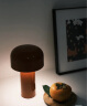 FLOS意大利原装进口BELLHOP台灯创意蘑菇小夜灯USB可充电移动便携灯 砖红色 晒单实拍图