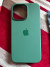 诺邦士 适用苹果13手机壳动画磁吸iphone13液态硅胶防摔手机保护套网红纯色高级品牌13promax手机壳强力 苹果13Pro【薄雾蓝色】带标磁吸动画液态硅胶 iphone 其他型号 实拍图