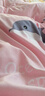 南极人（NanJiren）被套被罩单件夏季加厚学生宿舍单人磨毛1.5米被芯单套春秋被子罩 海豚湾YC 150x200cm单被套 实拍图