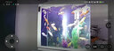 欧宝 鱼缸玻璃生态水族箱子弹头家用客厅屏风金鱼缸大型可定制 弧门款 底滤 1.38米长 实拍图