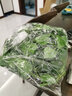 宁雪儿假花藤条仿真花葡萄叶管道装饰下水管空调管遮挡塑料花藤蔓植物 2条绿萝胶片软藤-105叶 实拍图