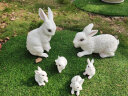 慧祥花园庭院装饰摆件户外园艺装饰摆件树脂小动物工艺品仿真兔子摆件 兔子一家（2大4小共6只） 晒单实拍图