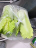 桃西村正宗河北玉田二包尖白菜新鲜御菜大白菜当季露天白菜农家种植蔬菜 2500g  普通装 实拍图