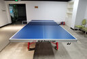 双鱼（DOUBLE FISH）双鱼标准乒乓球台233室内家用移动折叠式乒乓球桌案子家用大赛台 翔云X1（18MM板） 实拍图