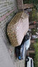 牧安奔驰c200l车衣e300l车罩glc gla c级e级s级牛津布防雨防晒车套 迷彩色 实拍图