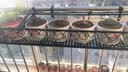 裕轩堂多肉组合随机花盆陶瓷绿萝吊兰室内创意简约多肉大号桌面阳台盆栽 79098两个17厘米 小 实拍图
