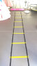 绳梯 敏捷梯足球篮球跳格梯训练器材绳敏梯捷步伐训练梯速度能量软梯健身  足球篮球 4米8节(含背包) 晒单实拍图