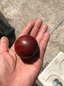 莆匠紫檀木光面保健球手转球健身手球送爸爸父亲生日礼物祝寿礼物 光面直径5.0cm 一对 实拍图