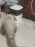 SMARTTAIL宠物猫咪饮水机智能无线喂水器自动循环不插电无线感应猫咪饮水机 好吃好喝-SW3+LITE套装 实拍图
