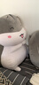 蓓斯曼仓鼠抱枕公仔毛绒玩具女孩暖手抱枕暖手捂玩偶娃娃生日礼物女生 灰色花痴款 40厘米【单抱枕】 实拍图