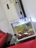 森森（SUNSUN） 鱼缸内置过滤器增氧泵三合一水泵 5W四合一内置过滤器（适合60cm以下缸） 实拍图