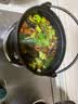 铸味（Jill May）加厚日式铸铁汤锅珐琅不粘锅生铁寿喜锅煲汤锅炖肉锅户外野炊火锅 日式寿喜锅+野炊三脚架 24cm 实拍图