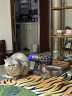 戴森(Dyson)吸尘器 V8 Fluffy 无线手持吸尘器 除螨 宠物家庭适用 深度清洁 晒单实拍图