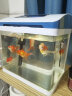 鱼之宝（Fish treasure）鱼缸水族箱金鱼缸生态鱼缸过滤器玻璃鱼缸懒人家用客厅彩灯鱼缸 M260智能生态鱼缸 实拍图