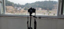 轻装时代Q160S手机三脚架便携微单反相机摄影摄像自拍照网课考试直播支架 稳定器录视频抖音拍摄三角架云台 普通款-手柄云台 实拍图