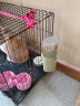 洁西（JESSIE）宠物自动饮水器600ml绿色兔子水壶大容量水盆龙猫金丝熊自动续水 600ml芥末绿 实拍图