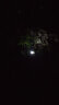 腓立比地埋灯户外防水太阳能草坪灯插地灯花园别墅庭院灯装饰景观灯 8灯白光 实拍图
