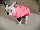 DADAGOU法国斗牛犬衣服宠物棉衣巴哥沙皮胖狗狗秋冬装棉背心加绒加厚棉衣 斗牛犬棉背心-西瓜红 XXL 实拍图