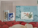 邮票保护袋 东吴收藏 PCCB  集邮护邮袋 OPP 加厚 之一 大版张 28*38CM 实拍图