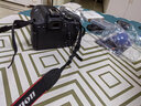 佳能/Canon 600D 700D 750D 760D 800D 850D二手单反相机新手学生入门旅游高清相机 750D+18-135 IS STM【套机】 准新 实拍图