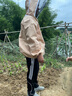 蜂之家防蜂服全套半身防蜂衣服蜜蜂防护服取蜜养蜂工具防晒防蚊虫透气 实拍图