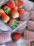 农家新语 丹东99红颜奶油草莓 28颗特大果奢侈橙礼盒 新鲜水果 空运直达 实拍图