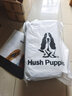 暇步士（Hush Puppies）旅行包男士复古真皮高档头层牛皮时尚随身通勤大容量登机包行李包 深咖色HA-1311009W-504 实拍图