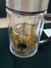 希诺（heenoor）双层玻璃杯带手柄男士双层加厚隔热防烫商务办公茶杯子大容量水杯 经典款（XN-6720） 290ml 礼盒装+带茶隔 实拍图