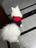 宠德多狗衣服狗狗衣服秋冬中大型犬拉布拉多柯基萨摩柴犬边牧金毛哈士奇 带帽超人 黑色（纽扣款） 8XL(胸围83cm建议60-70斤) 实拍图