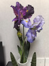 掬涵仿真鸢尾花梵高爱丽丝软装饰摆放假花高级感客厅室内花艺造型摆件 遥(80cm) 实拍图