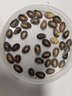 正林瓜子江南小炒奶油味小瓜子200g黑西瓜子年货炒货喝茶零食小吃 实拍图
