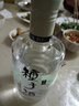 金种子 柔和种子酒 浓香型白酒  过年送礼年货礼盒 40度 460ml 40度 460mL 4瓶 整箱装 实拍图