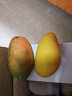 译优农海南三亚贵妃芒新鲜芒果当季现摘红金龙甜心芒孕妇水果礼盒 净重5斤精选中果 实拍图