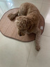 华元宠具（hoopet）狗窝四季通用狗床中大型犬睡觉可拆洗宠物狗垫子小狗狗窝夏季凉席 窝+凉席+棉垫【四季通用】新款 XL 100*82*26 推荐100斤内 实拍图
