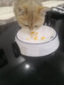 hoopet猫碗陶瓷高颜值猫粮碗可爱宠物斜口护颈高脚饭盆大口径喝水碗保护 【适合零食】星空陶瓷粮碟 实拍图