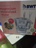 倍世（BWT）净水壶滤水壶净水器家用 欧洲去水垢滤芯 益家4.2L大容量 过滤水壶 厨房客厅通用 【去水垢-加强版】1壶1芯 实拍图