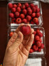 京鲜生 甜红子红山楂 糖球小山楂 300g 尝鲜装 生鲜水果 晒单实拍图