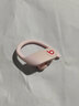 beats Powerbeats Pro 无线蓝牙耳机 挂耳式运动耳机 安卓苹果兼容 入耳式魔音蓝牙耳麦 云彩粉 实拍图