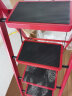 星恺（XINGKAI）梯子家用折叠梯人字梯多功能登高爬梯扶梯小梯子 TZ10四步红 晒单实拍图