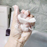 极男洗面奶男控油洁面乳补水保湿海盐洁净脸部清洁护肤品生日礼物 海盐洗面奶200g 实拍图