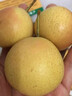 梦宛怡辽宁鞍山特产南果梨东北当季酒香水梨子现摘新鲜酥脆南国梨水果 带箱2斤中大果尝鲜装 精品果 实拍图